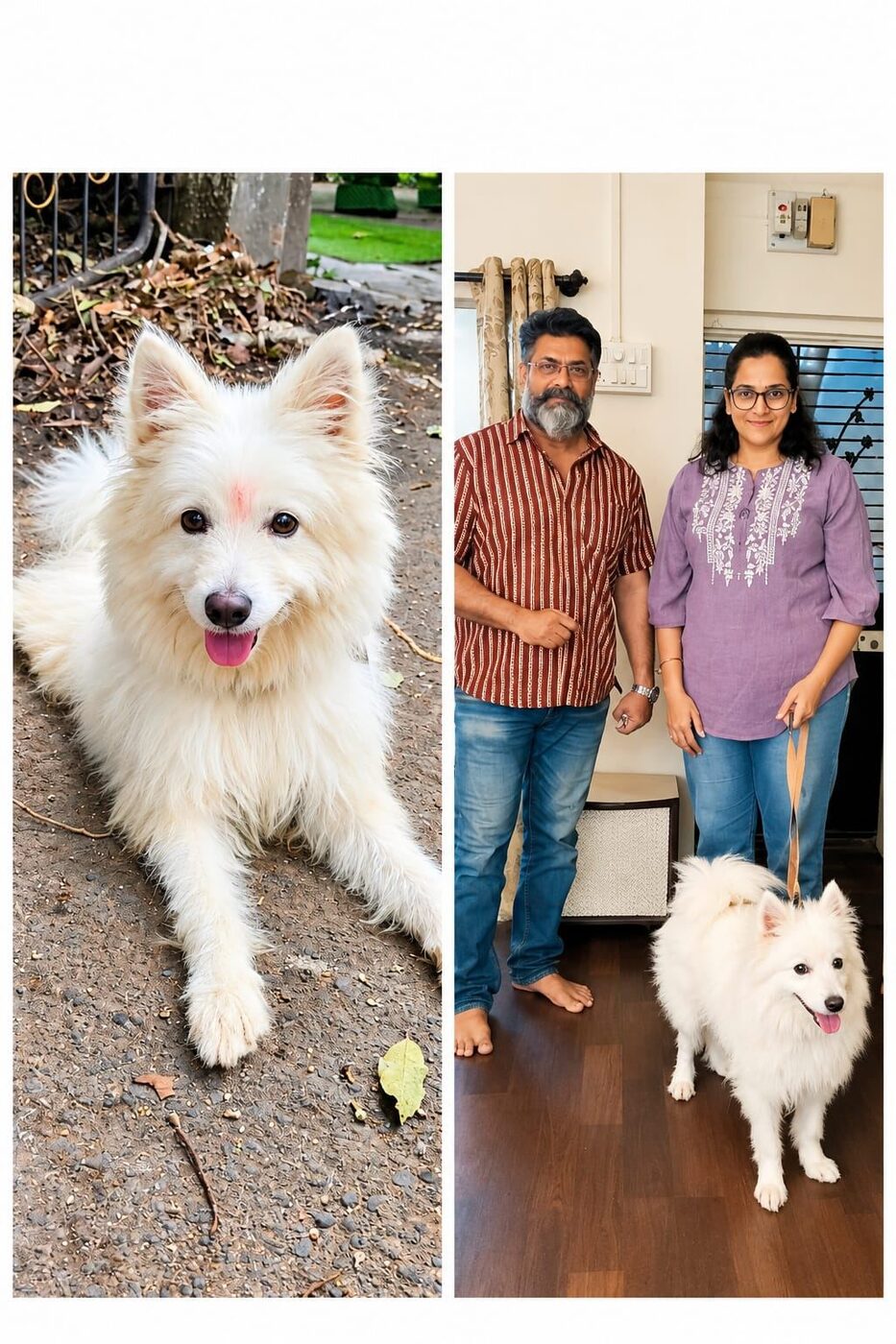 Rescued dog with an adoptive family
