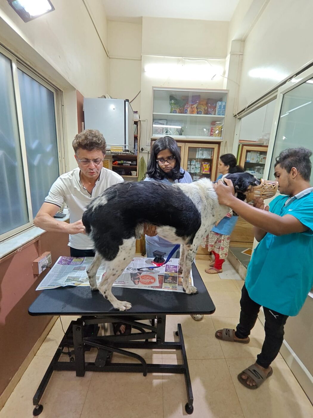 Veterinary team providing preventive care to a community dog