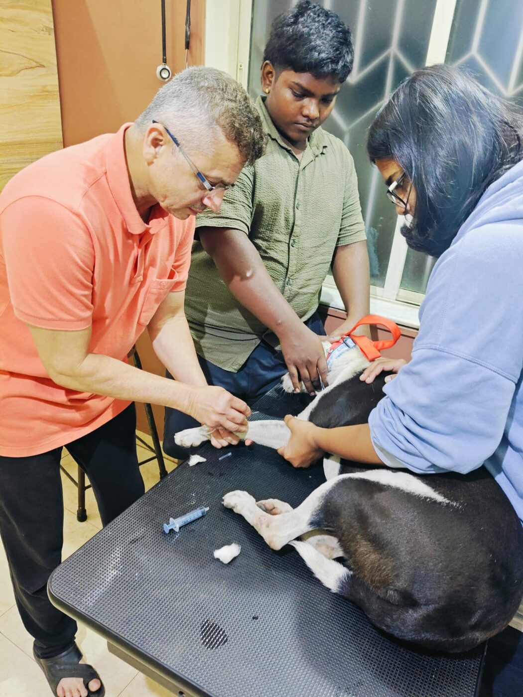 Veterinary team administering care to a rescued dog