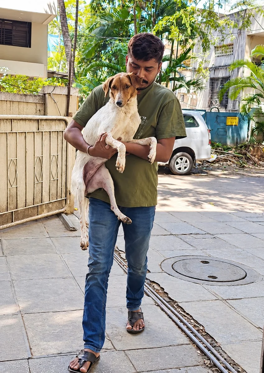 Dog and young volunteer during animal care support